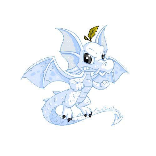 snow draik