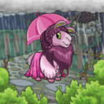 A Rainy Day Walk A Rainy Day Walk