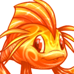candy koi