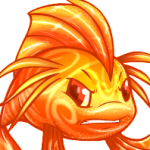 candy koi