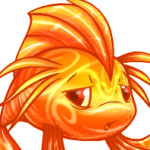 candy koi
