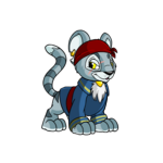 Pirata