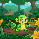 Courgette Field Background