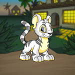 Swashbuckling Academy Background