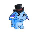 Dapper Poogle Hat