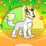 Citrus Background