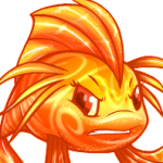 candy koi
