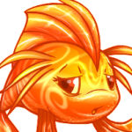 candy koi
