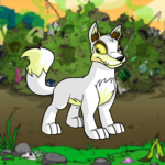 Rubbish Dump Background