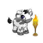 Altador Cup V Competition Torch