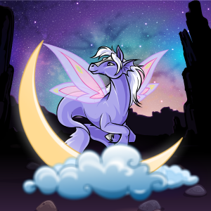 CASEY_67212
