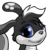 Jushira the Female Skunk Zafara adopted by celebrant