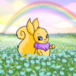 Rainbow Field Background